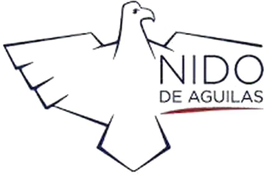 Colegio Nido de Aguilas logo